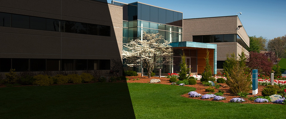 Draper Landscapers