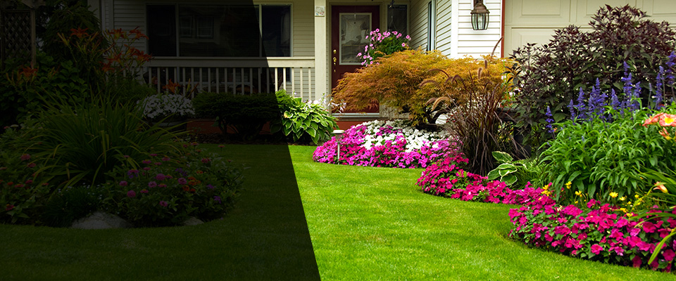 Draper Landscapers