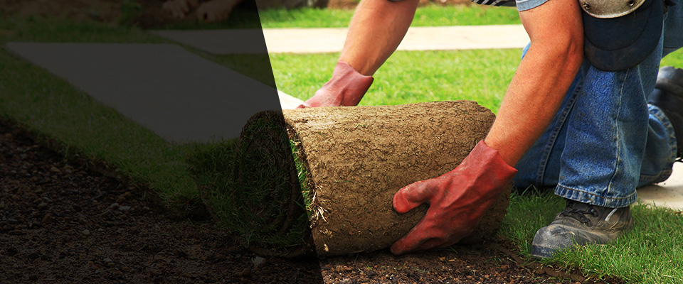 Draper Landscapers
